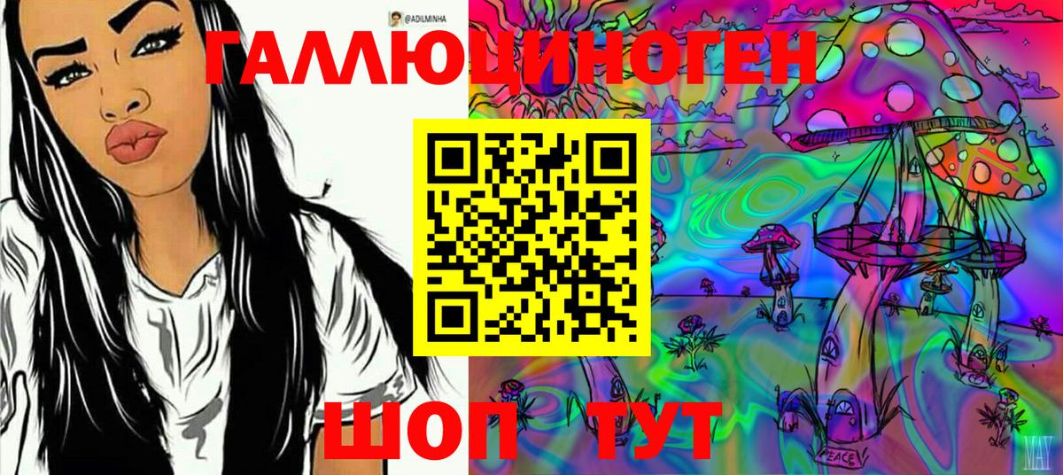 Псилоцибиновые грибы GOLDEN TEACHER  Вход с VPN  Галлюциногенные грибы GOLDEN TEACHER  что такое   Родники 